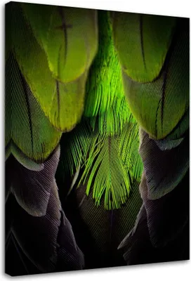 Produktbild von Leinwandbild grüne federn 80x120 cm Feeby grün wandbild bereit zum aufhängen