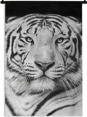 Produktbild von MuchoWow® Wandteppich Wandbehang Tiger - Schwarz - Weiß - Porträt - Tiere 60x90 cm Tapisserie Dekoration Wandtuch - Foto-Teppich - Abwaschbar