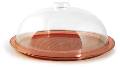 Produktbild von HOME Orange Kuchenhalter Transparenter Deckel Küchenbehälter