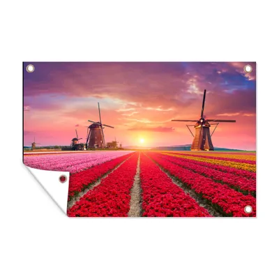 Obrázek produktu pro MuchoWow® Zahradní plakáty - Květiny - Větrný mlýn - Tulipány - Západ slunce - Růžová - 120x180 cm - Zahradní dekorace