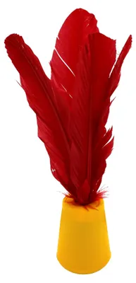 Image de Indiaka Jaune/Rouge