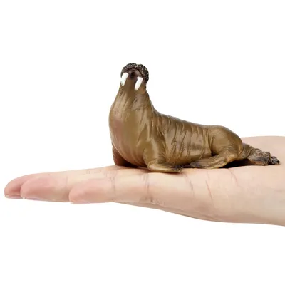 Produktbild von Toymany ML00360 Walross 9,2 cm Wasserwelt