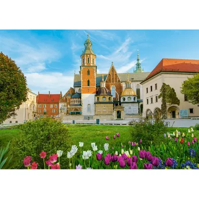 Produktbild von CASTORLAND Puzzle Schloss Wawel in Krakau, Polen 500 Teile