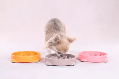Immagine prodotto di Ciotola per cani Flamingo, 0,3 l, per un'alimentazione lenta, 16 x 3,5 cm