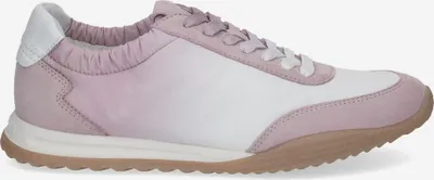 Produktbild von Peter Kaiser 73609 504, Sneaker in Rose (Pastell) für Damen, Größe 42
