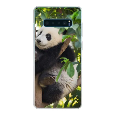 Produktbild von MuchoWow® Handyhülle Schutzhülle Hülle für Samsung Galaxy S10 Plus Panda - Tier - Baum Silikon Softcase Handy Hülle - Schutzhülle