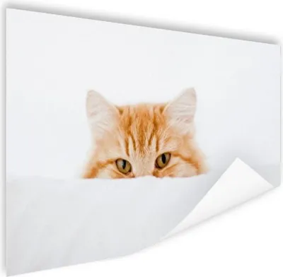 Produktbild von MuchoWow® Poster Katze - Rot - Weiß - Mädchen - Jungen - Kind 180x120 cm - Fotoplakat