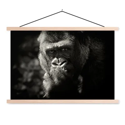 Produktbild von MuchoWow® Textilposter Tierprofil Gorilla in schwarz und weiß 60x40 cm mit holzfarbenen Rahmen - Bilder