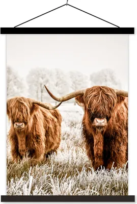Produktbild von MuchoWow® Textilposter Schottisches Hochlandrind - Kuh - Tiere 60x80 cm mit schwarzem Rahmen - Plakathalter