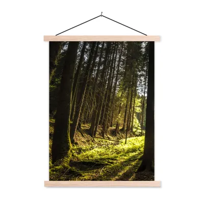 Produktbild von MuchoWow® Textilposter Baum - Natur - Sonne - Wald 60x80 cm mit holzfarbenen Rahmen - Wandbild