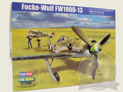 Obrázek produktu pro Focke Wulf FW190D-13 - Hobby Boss 81721 1:48