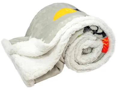 Obrázok produktu pre ARÔME HOME Deka 150 x 200 cm, s jahňacinou, mikroflanel, 460 GSM