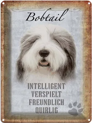 Produktbild von vianmo Blechschild 40x30 cm Bobtail Hund verspielt