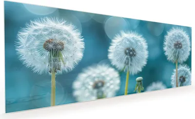 Produktbild von Küchenrückwand Spritzschutz Glas mit Motiv Löwenzahnwiese 40 x 40 cm
