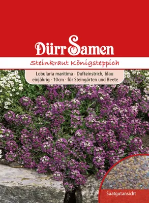 Produktbild von Steinkraut Königsteppich | Steinkrautsamen von Dürr Samen