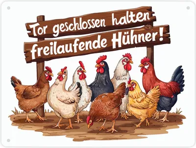 Produktbild von Freilaufende Hühner - Tor geschlossen halten Metallschild XL in 21x28 cm