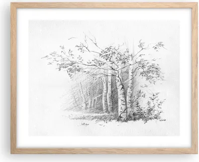 Produktbild von Gerahmtes Poster - Rahmen in heller Eiche - Skizze Wald Birke - 50x40 cm - Wand Bild - Wanddeko - Wandbilder - Wandposter - Bilderrahmen - Bilder - Kunstdruck - Wandbild - P2NAA50x40-4280