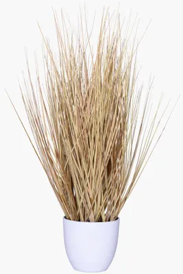 Immagine prodotto di Pianta artificiale BOHO in plastica effetto naturale 30x54 cm