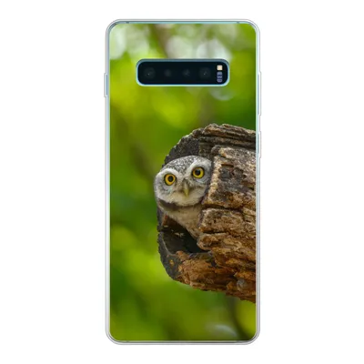 Produktbild von MuchoWow® Handyhülle Schutzhülle Hülle für Samsung Galaxy S10 Lite Eule - Baby - Baum Silikon Softcase Handy Hülle - Schutz