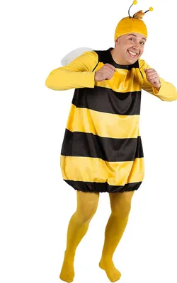 A man wearing a bee costume.