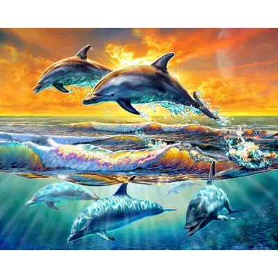 Obrázok produktu pre Maľovanie podľa čísel – SKÁKAJÚCE DELFÍNY na plátne 40 x 50 cm
