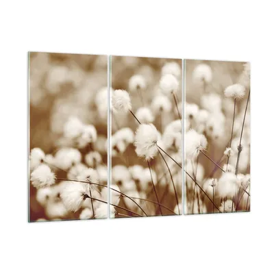 Produktbild von Bilder auf glas - 3 Teile - Baumwolle Boho Wollig - 165x110cm - Glasbilder - Wandbilder - Bilder - zum Aufhängen bereit - Wanddekoration aus Glas - Glas Bilder - Wandbild auf Glas - GCE165x110-4850