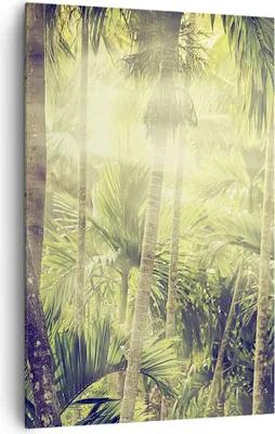 Produktbild von Bild auf Leinwand - Leinwandbild - Einteilig - Morgendämmerung Dschungel Palmen - 80x120cm - Wand Bild - Wandbilder - Leinwanddruck - Wanddekoration - Leinwand bilder - Wandbild - PA80x120-4450