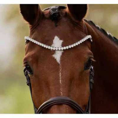 Image de Bandeau Ps Of Sweden Slim Crystal, couleur blanche, pour chevaux de trait (Cob)