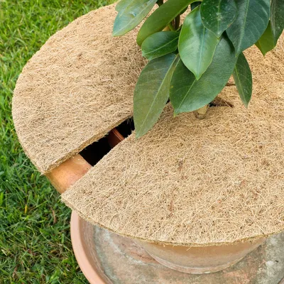 Immagine prodotto di Set di 2 dischi in fibra di cocco
