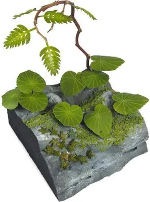 Productafbeelding van Matho Models 35079 - 1:35 Jungleplanten C - Nieuw