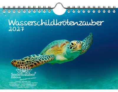 Produktbild von Wasserschildkrötenzauber DIN A5 Kalender für 2027 Wasserschildkröten - Seelenzauber