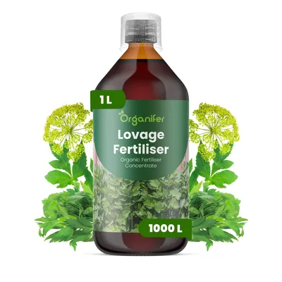 Produktbild von Liebstöckel Flüssigdünger 1L – 2-1-8 NPK – Flüssig-Pflanzendünger für Liebstöckel – Organifer
