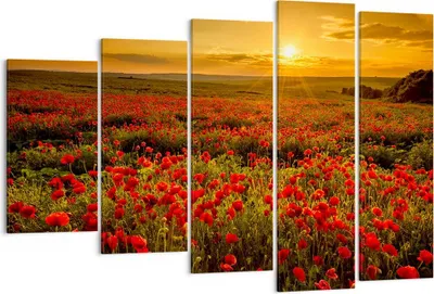 Produktbild von Bild auf Leinwand - Leinwandbild - Mohn Blume Wiese - 150x100cm - Wand Bild - Wanddeko - Leinwanddruck - Bilder - Kunstdruck - Wanddekoration - Leinwand bilder - Wandkunst - EG150x100-3643