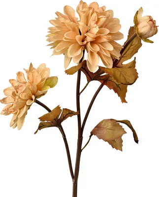 Produktbild von Clayre & Eef Kunstblume 66 cm Beige Kunststoff