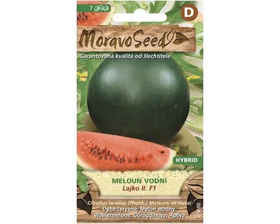 Produktbild von Wassermelone F1 Samen MoravoSeed