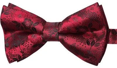Immagine prodotto di Fascia da uomo, già annodata, regolabile, rossa con motivo floreale paisley