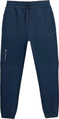 Produktbild von 4F Hosen 4FSS23TTROM137GRANAT, Größe: 176