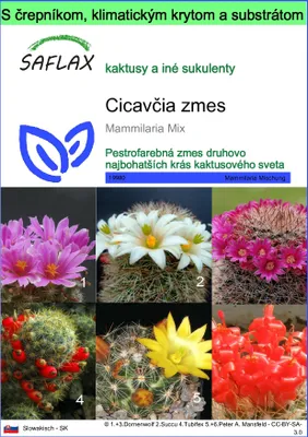 Obrázok produktu pre SAFLAX Garden to go - Cicavčia zmes - Mammilaria Mix - 40 Semená - S črepníkom, klimatickým vekom a pestovateľským substrátom