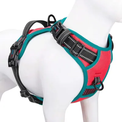 Productafbeelding van Antitrekgordel voor honden, verstelbaar, met trainingshandvat, reflecterend, maat XS, rood