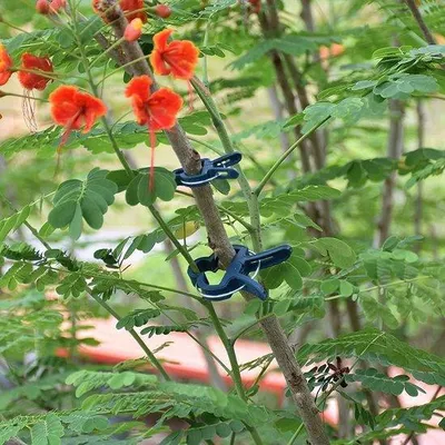 Produktbild von Famanu Pflanzen- und Blumenclips - für unterstützende Stängel und Ranken, langlebig und wiederverwendbar