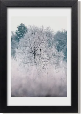 Produktbild von Bild 20x30 MDF-Rahmen, Wandkunst Winterwald