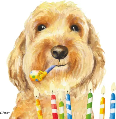 Produktbild von Servietten 33x33 cm - Happy Birthday Dog