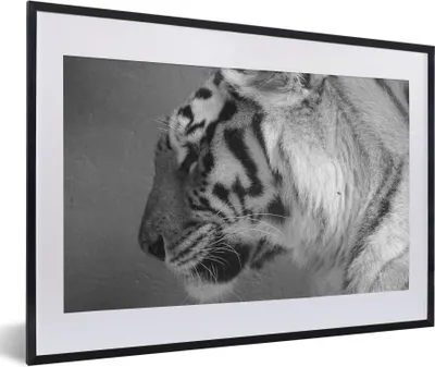 Produktbild von MuchoWow® Gerahmtes Poster Tiger - Tiere - Schwarz - Weiß 60x40 cm - Poster mit Schwarzem Bilderrahmen Wandposter Rahmen Foto Bilder - Schlafzimmer - Plakat in Rahmen - Drucken