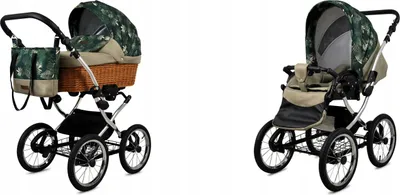 Image de Babylux® Classic Exclusive | Cat 2in1 Set | Fern Leaf | Combination Cat | Strollerse