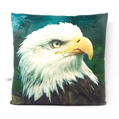 Produktbild von Stoffkissen - Weißkopfseeadler - 35x35