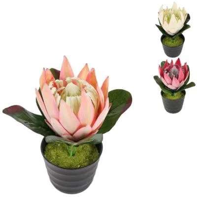 Produktbild von Künstliche Pflanze im Topf Protea 21 cm 3 sortiert | 12 Stück