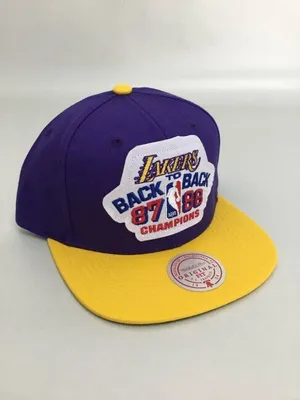 Obrázek produktu pro Kšiltovka Mitchell & Ness HHSS4195LALYYPPPPRYW pro Uni