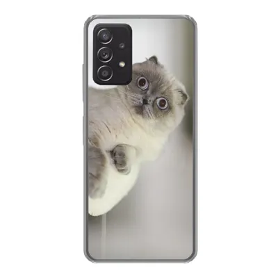 Produktbild von MuchoWow® Handyhülle Schutzhülle Hülle für Samsung galaxy a73 Katze - Tier - Wohnzimmer Silikon Softcase Handy Hülle - Handyhülle
