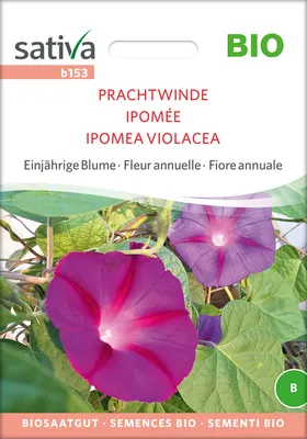 Produktbild von Prachtwinde | Windensamen von Sativa Rheinau