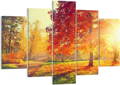 Produktbild von Bild auf Leinwand - Leinwandbild - Park Herbst Baum - 150x100cm - Wand Bild - Wanddeko - Leinwanddruck - Bilder - Kunstdruck - Wanddekoration - Leinwand bilder - Wandkunst - EA150x100-3654